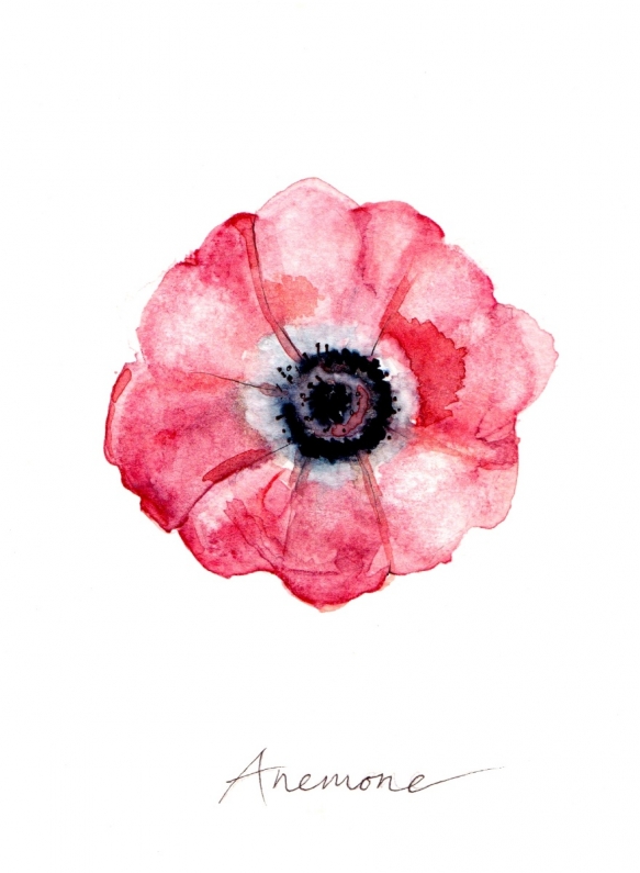 Wedding Flowers Cornwall 1